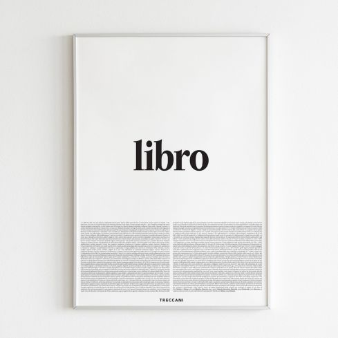 Poster - LIBRO