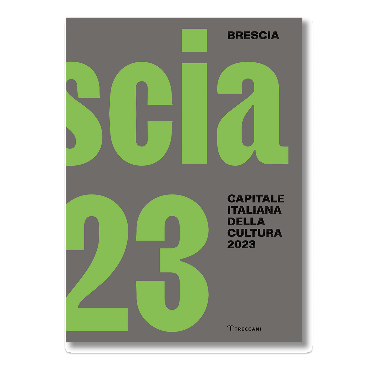 Frame 679 Brescia Capitale Italiana della Cultura 2023 - immagine 1
