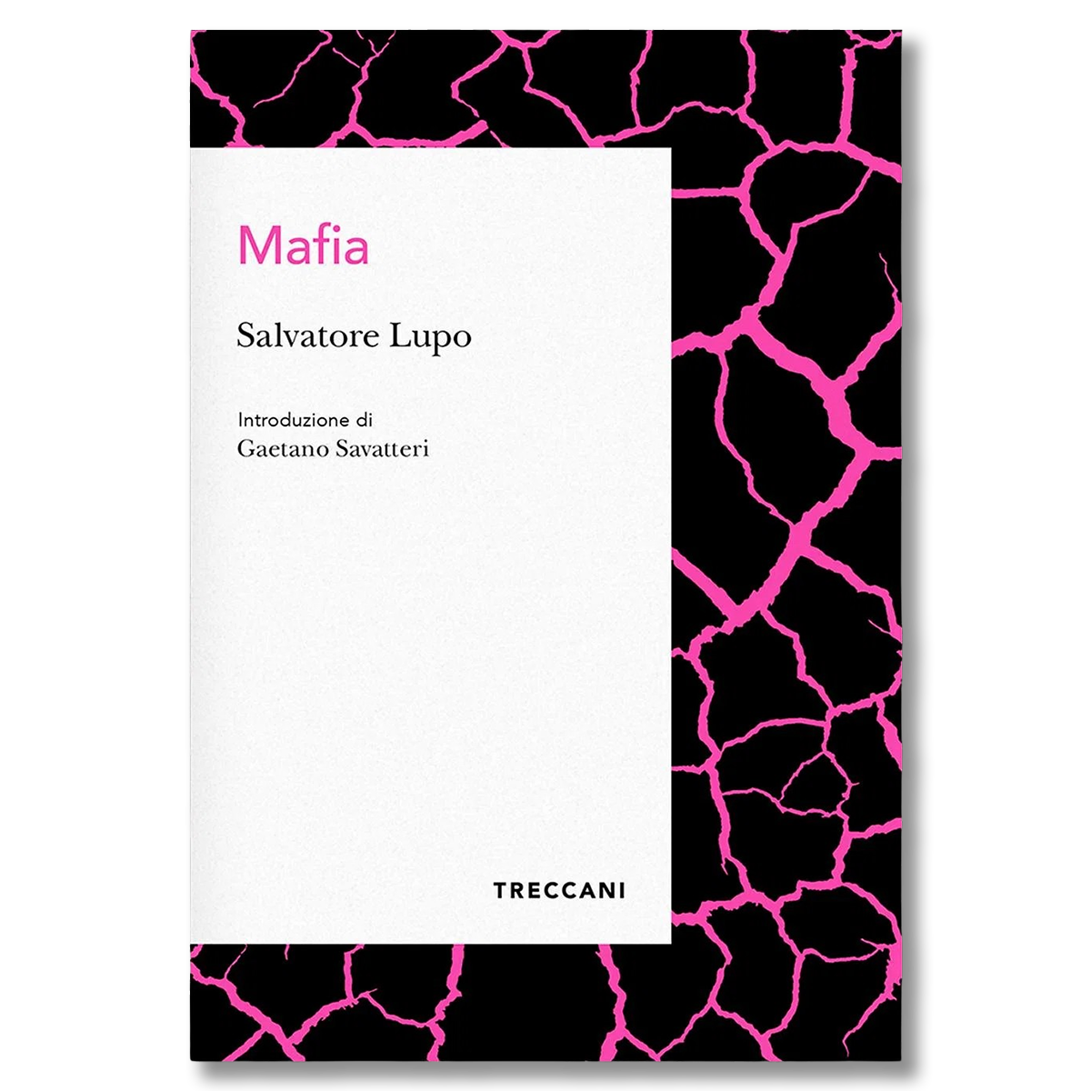 images Mafia - immagine 1