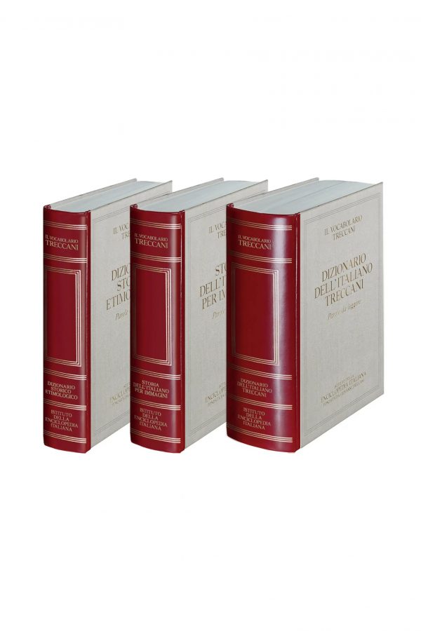 Dizionario dell'italiano Treccani - immagine 4