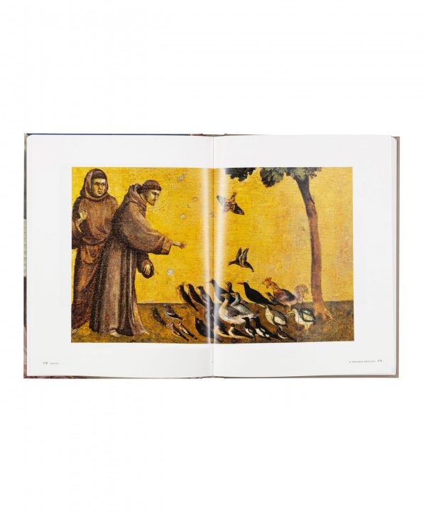 Giotto - immagine 5