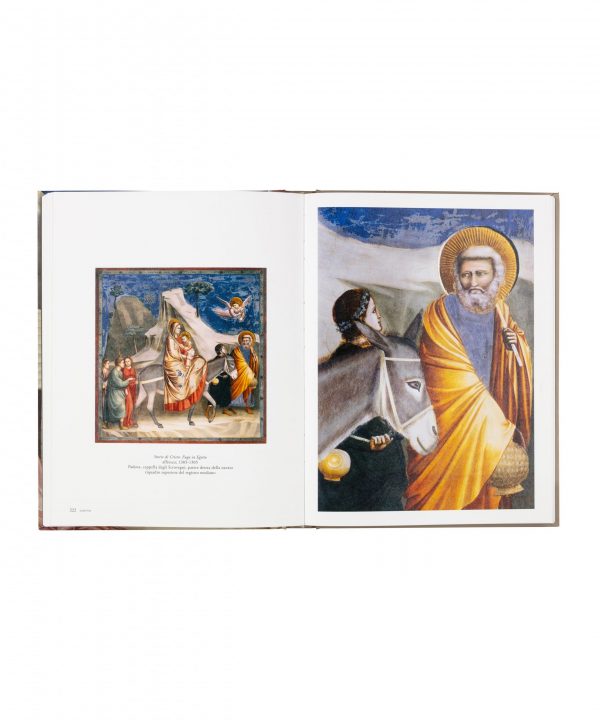 Giotto - immagine 7