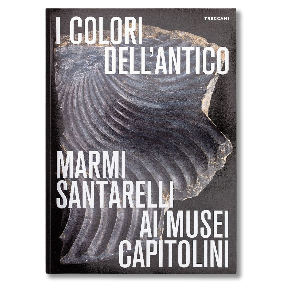 images I colori dell'antico. Marmi Santarelli ai Musei Capitolini - immagine 1