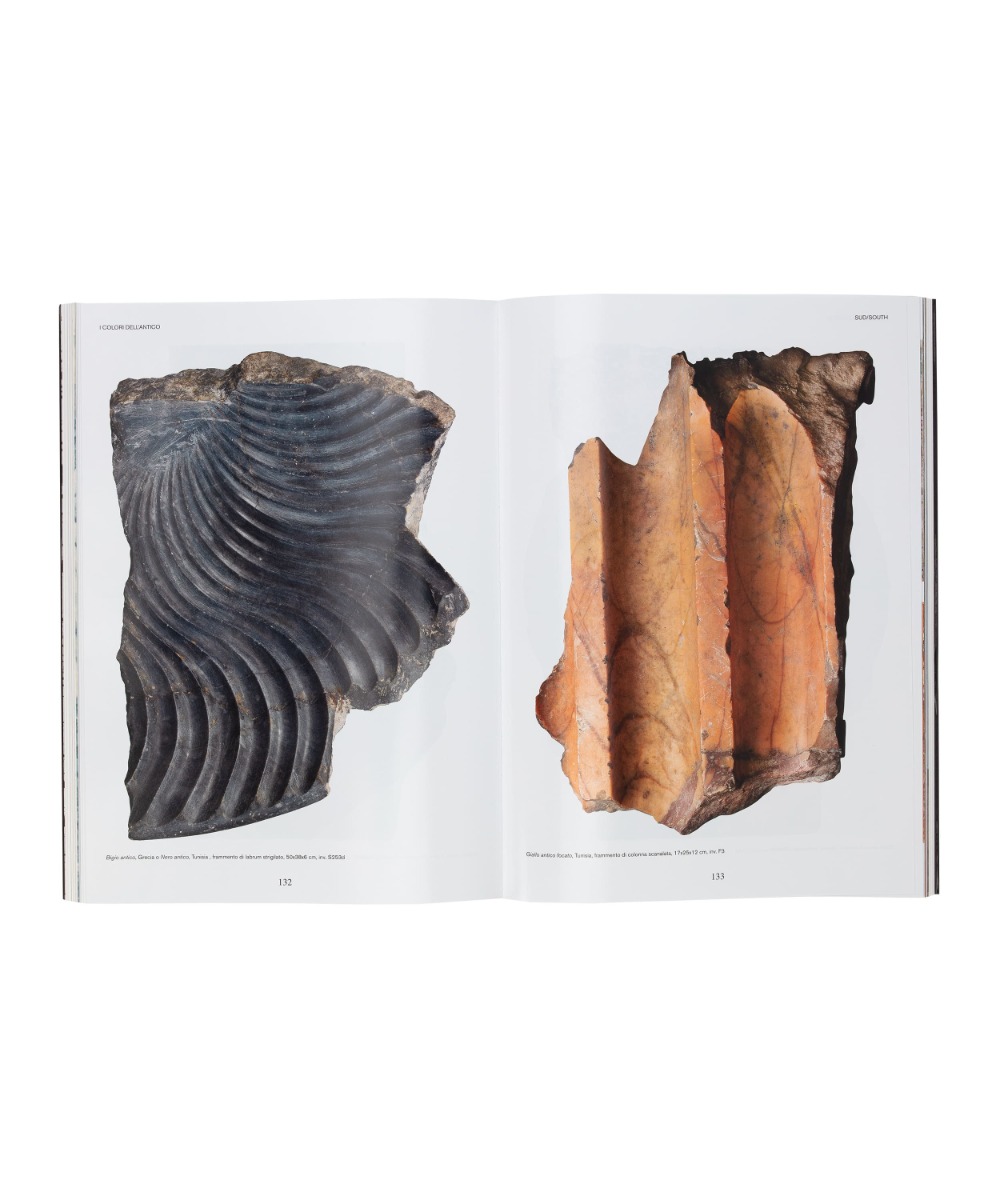 images I colori dell'antico. Marmi Santarelli ai Musei Capitolini - immagine 5
