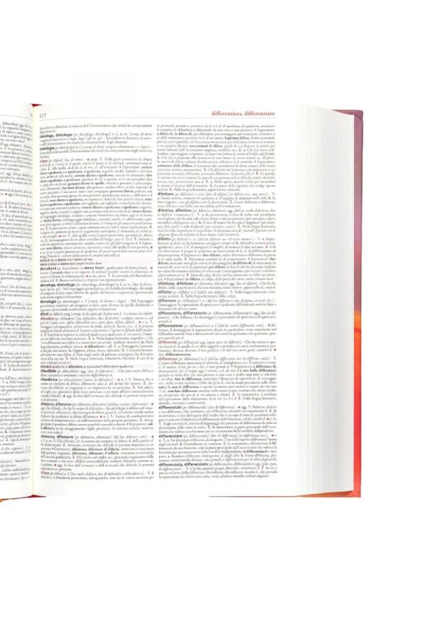 Il Dizionario dell'italiano Treccani - immagine 3