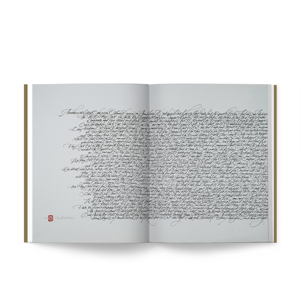 Lost in Strokes - Limited Edition. Luca Barcellona - immagine 4