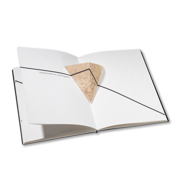 Linea. Alessandro Zanella - immagine 4