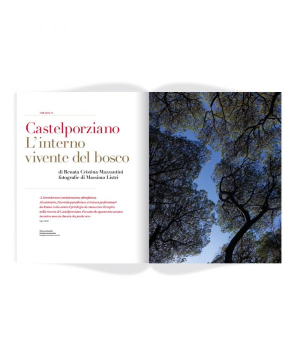 Rivista «Enciclopedia Italiana», n. 7/marzo 2021 - immagine 4