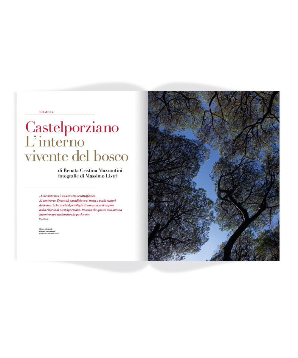images Rivista «Enciclopedia Italiana», n. 7/marzo 2021 - immagine 4