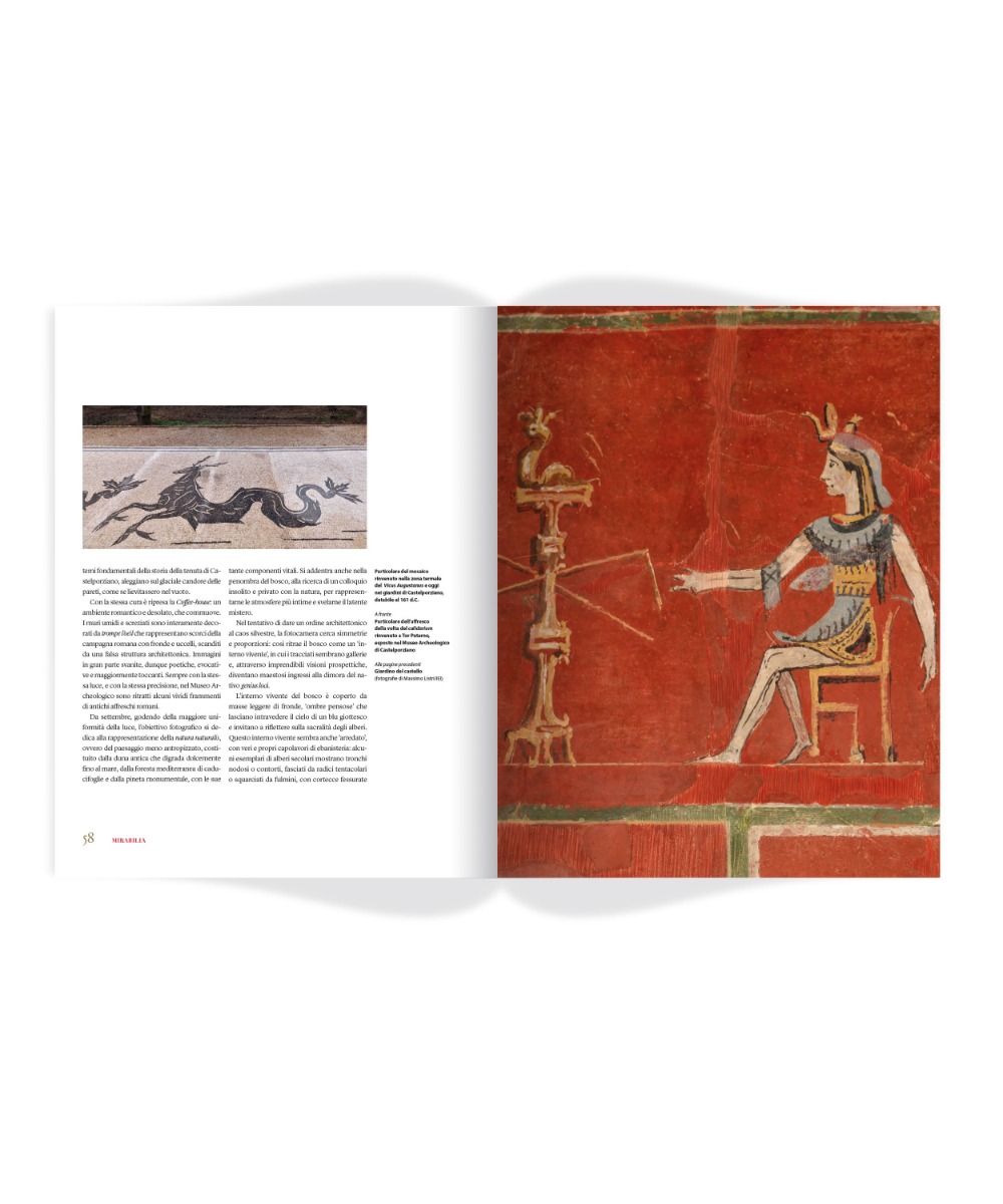 images Rivista «Enciclopedia Italiana», n. 7/marzo 2021 - immagine 5