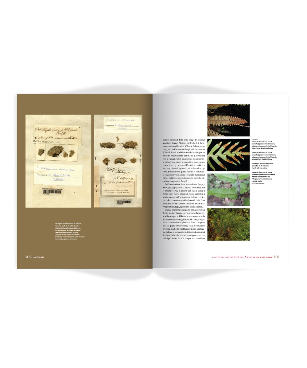 images Rivista «Enciclopedia Italiana», n. 7/marzo 2021 - immagine 8