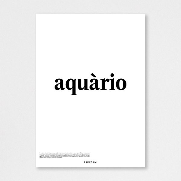 Poster – Aquario - immagine 3
