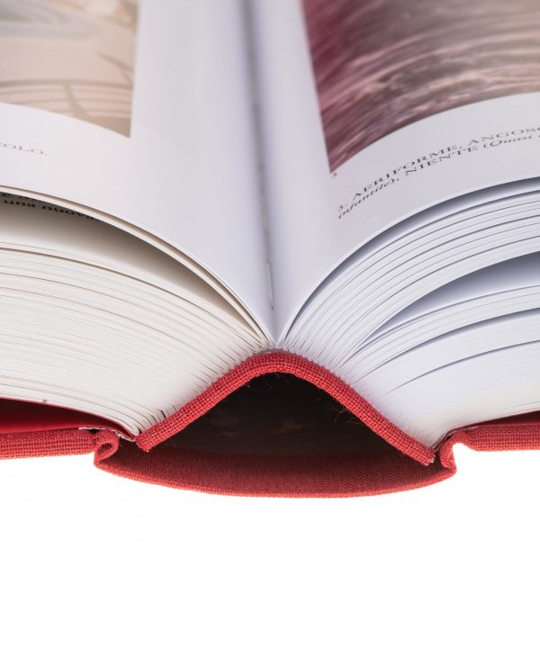 Psicoenciclopedia Possibile, Gianfranco Baruchello - immagine 4