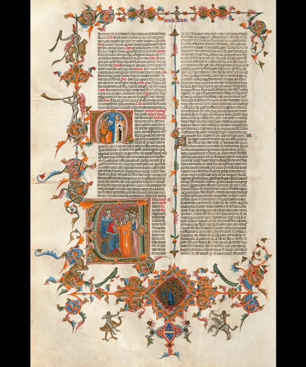 Bibbia d'Angiò - immagine 2