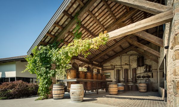 Distillato d'autore - immagine 7