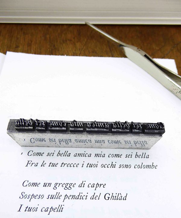 Il Cantico dei Cantici - immagine 4