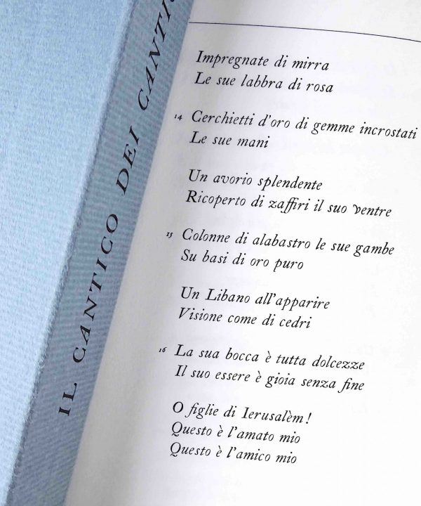 Il Cantico dei Cantici - immagine 2