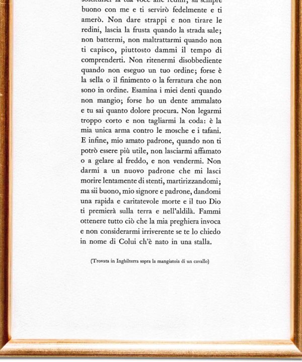 La preghiera del cavallo - immagine 3