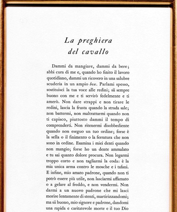 La preghiera del cavallo - immagine 2
