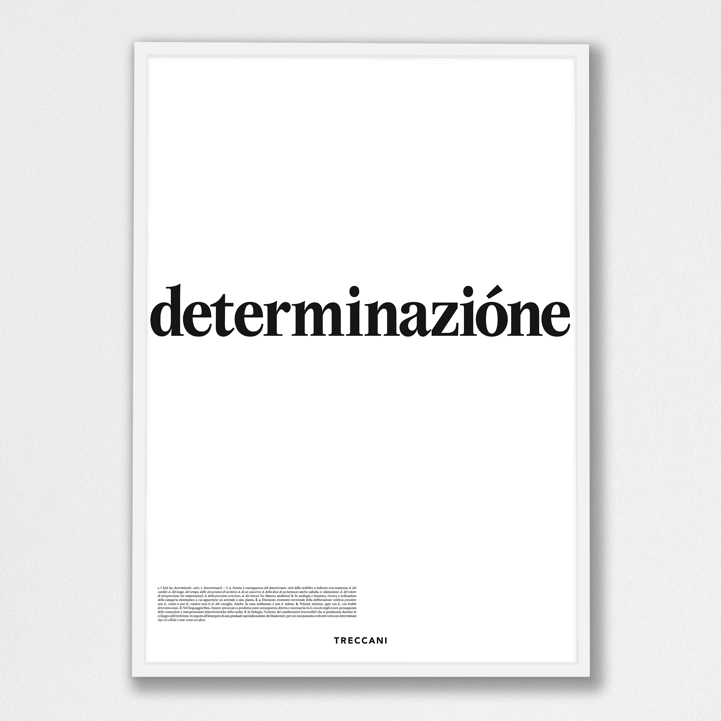 images Poster – Determinazione - immagine 1