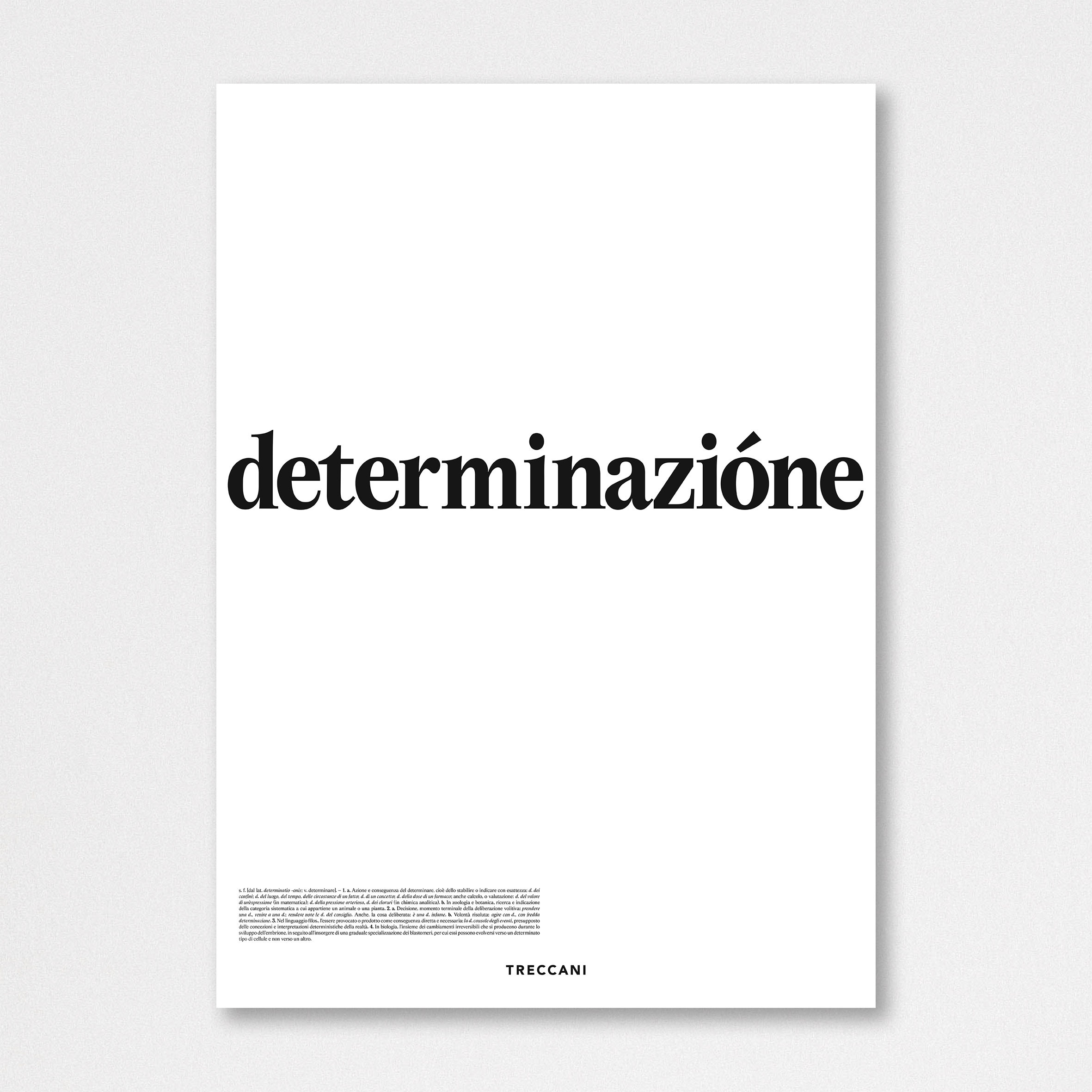 images Poster – Determinazione - immagine 3