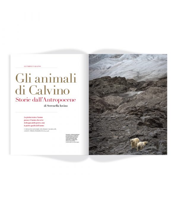 Rivista «Enciclopedia Italiana», n. 15/novembre 2023 - immagine 5
