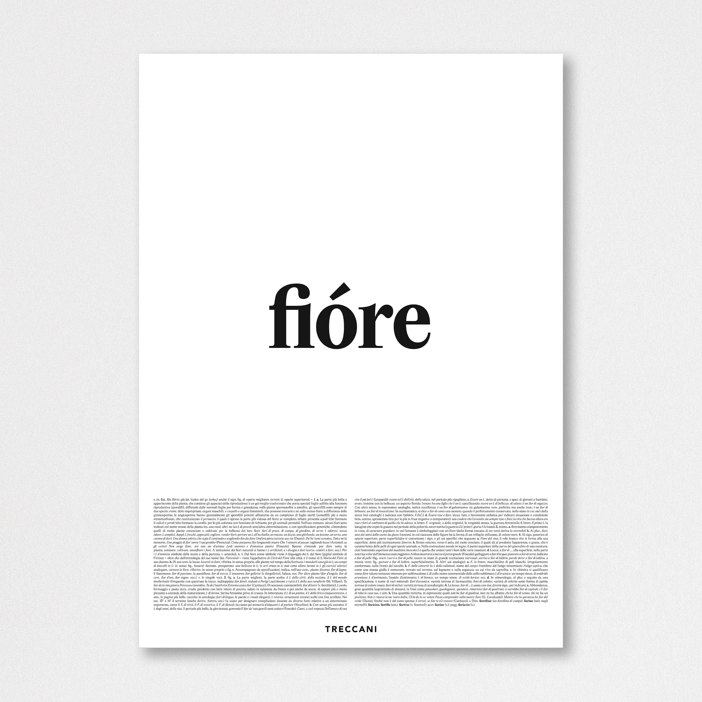 images Poster – Fiore - immagine 4