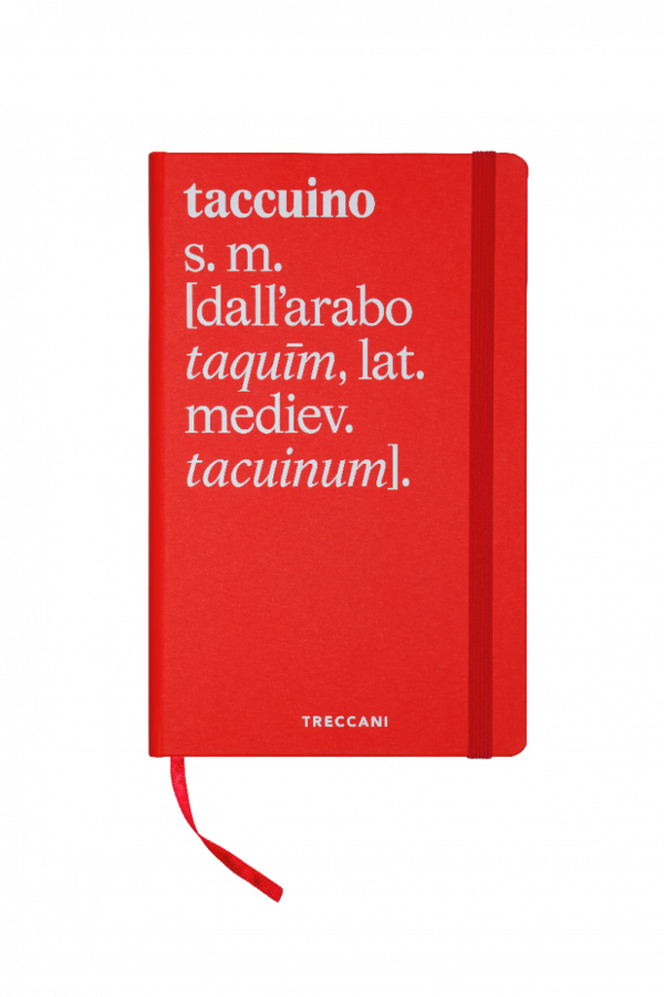 Taccuino grande e piccolo a fogli bianchi - immagine 10