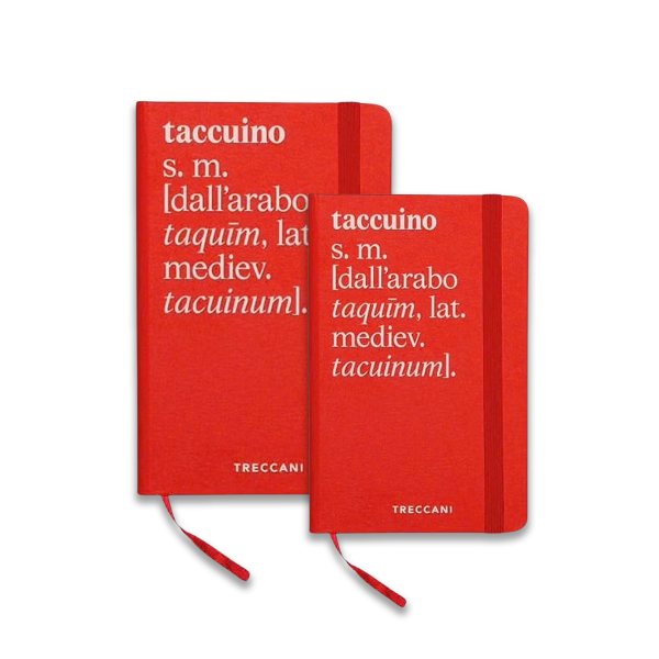 Taccuino grande e piccolo a righe - immagine 1