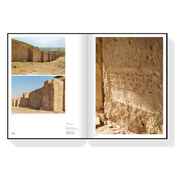 Tesori dell'Iraq - Le Missioni Archeologiche Italiane - immagine 3