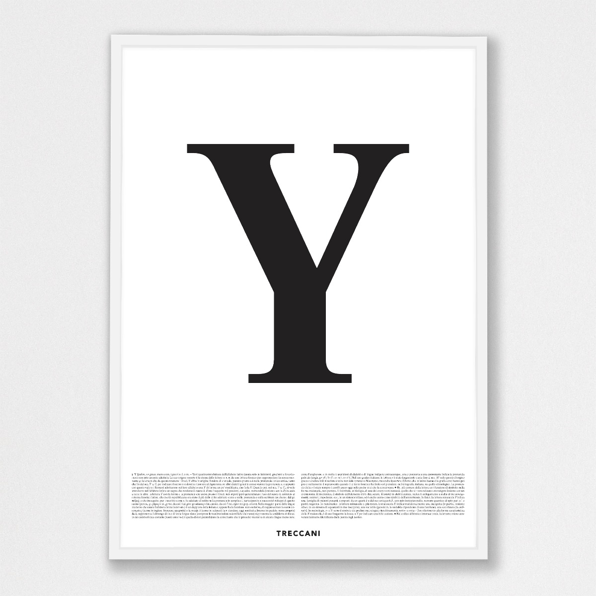 y_50x70_cornicebainca Poster – Y - immagine 1