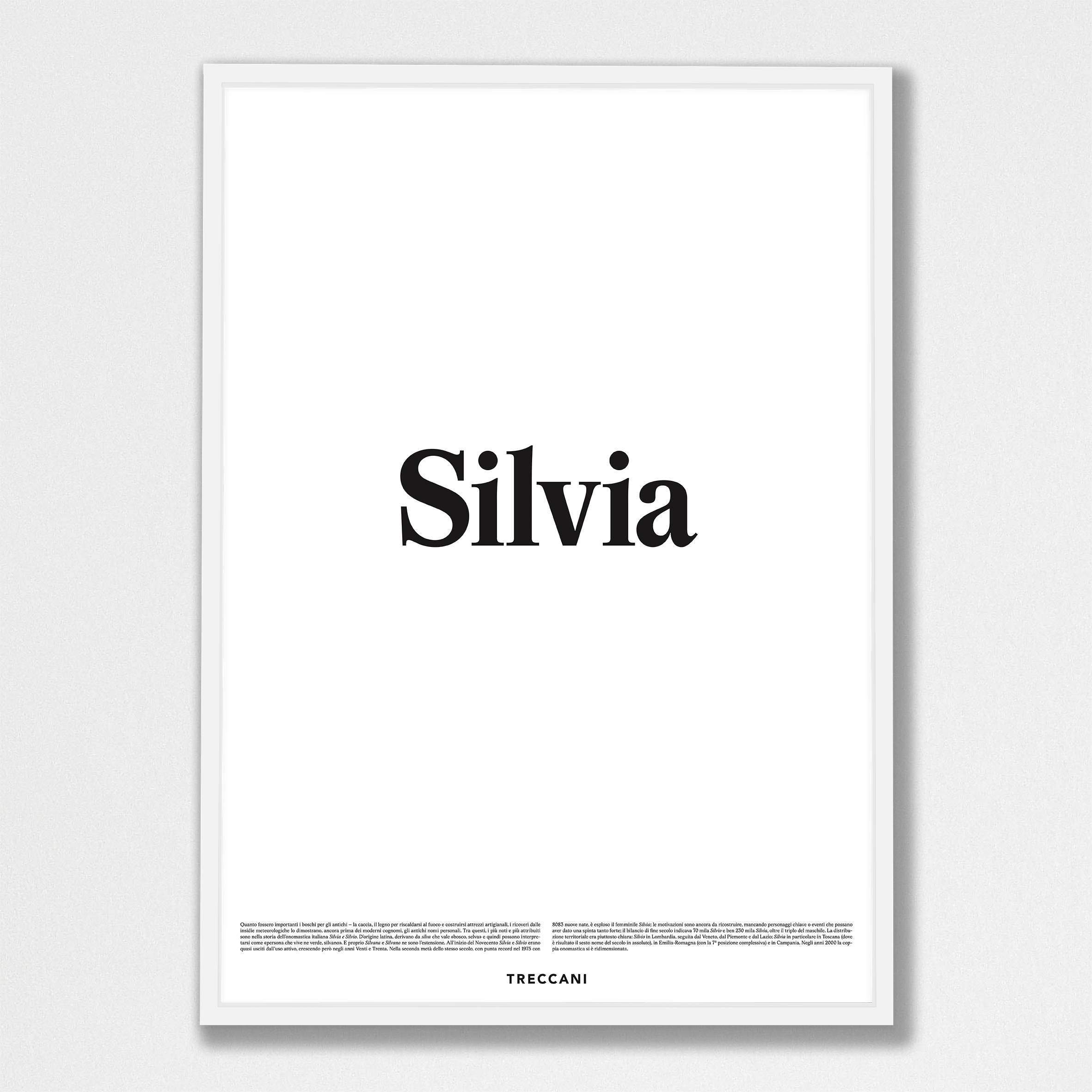 Sivlia 50x70 bianco Poster - Silvia - immagine 1
