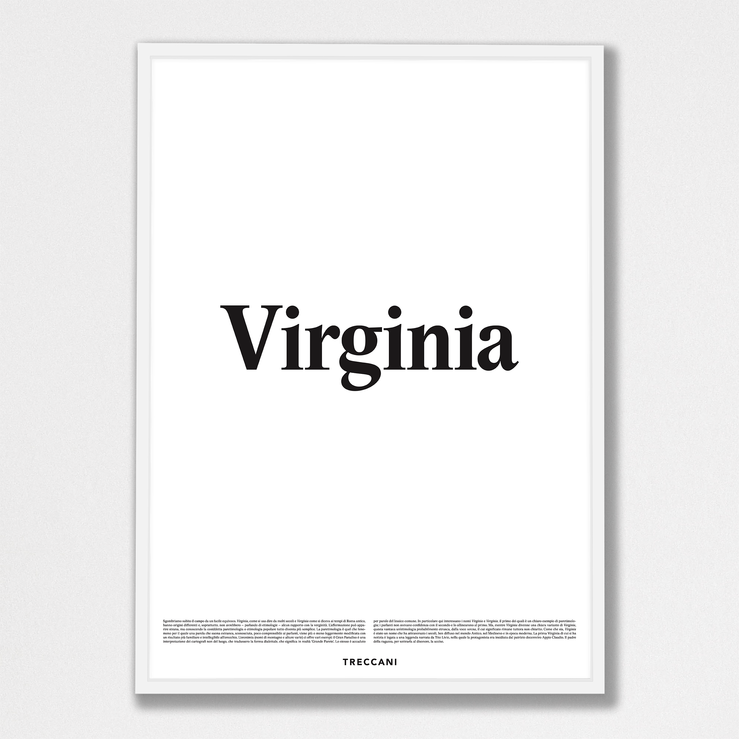 Virginia 50x70 bianco Poster - Virginia - immagine 1