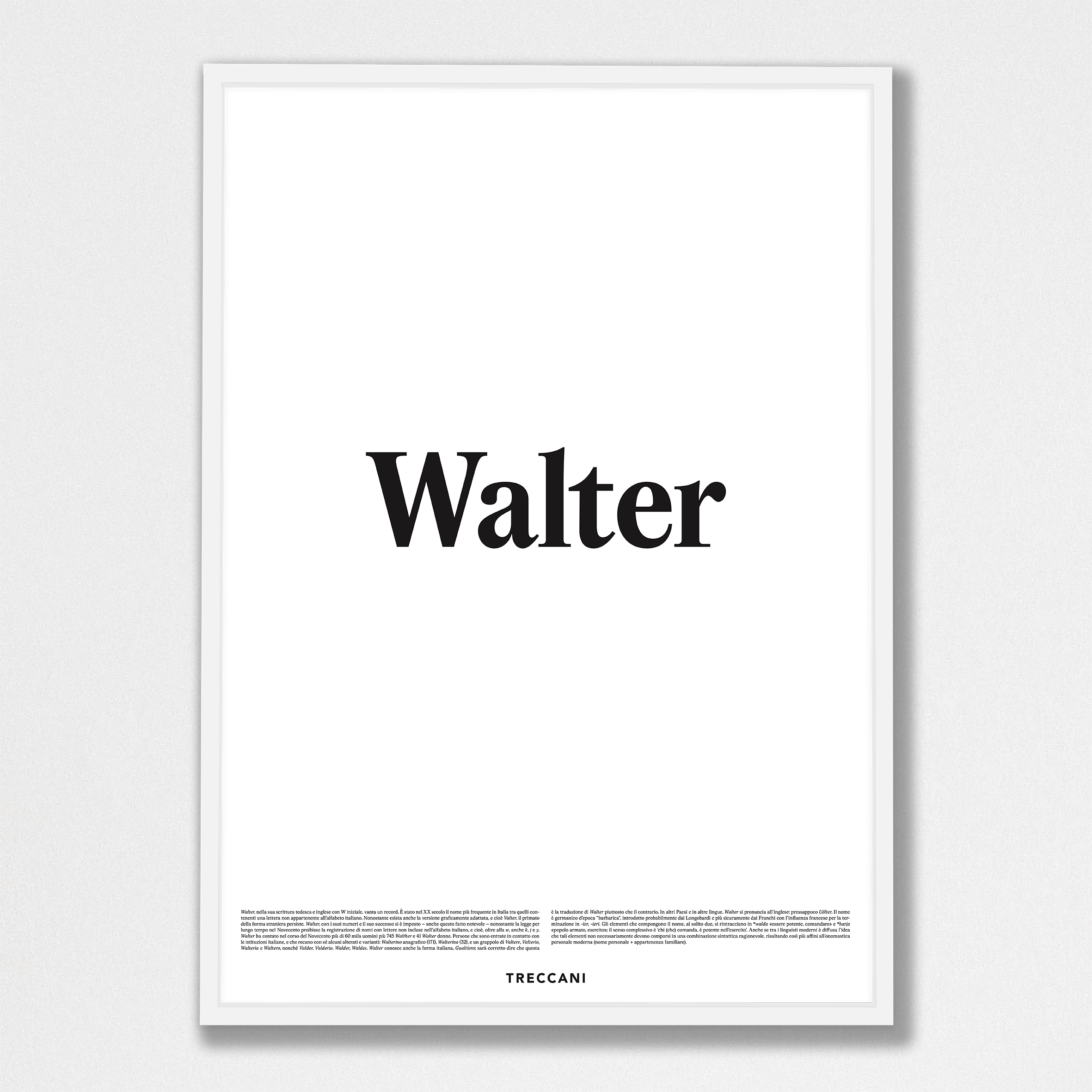Walter 50x70 bianco Poster - Walter - immagine 1