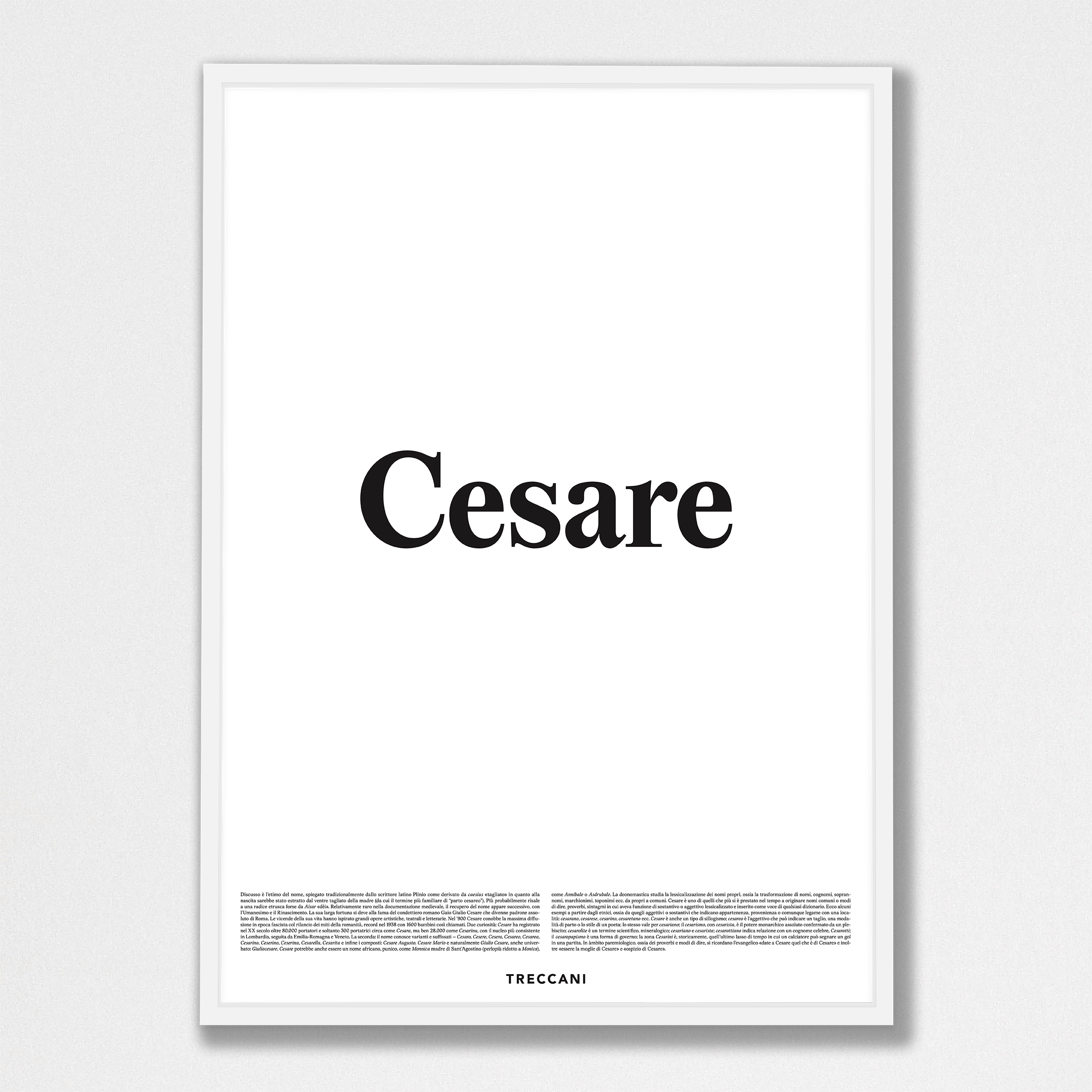 Cesare 50x70 bianco Poster - Cesare - immagine 1