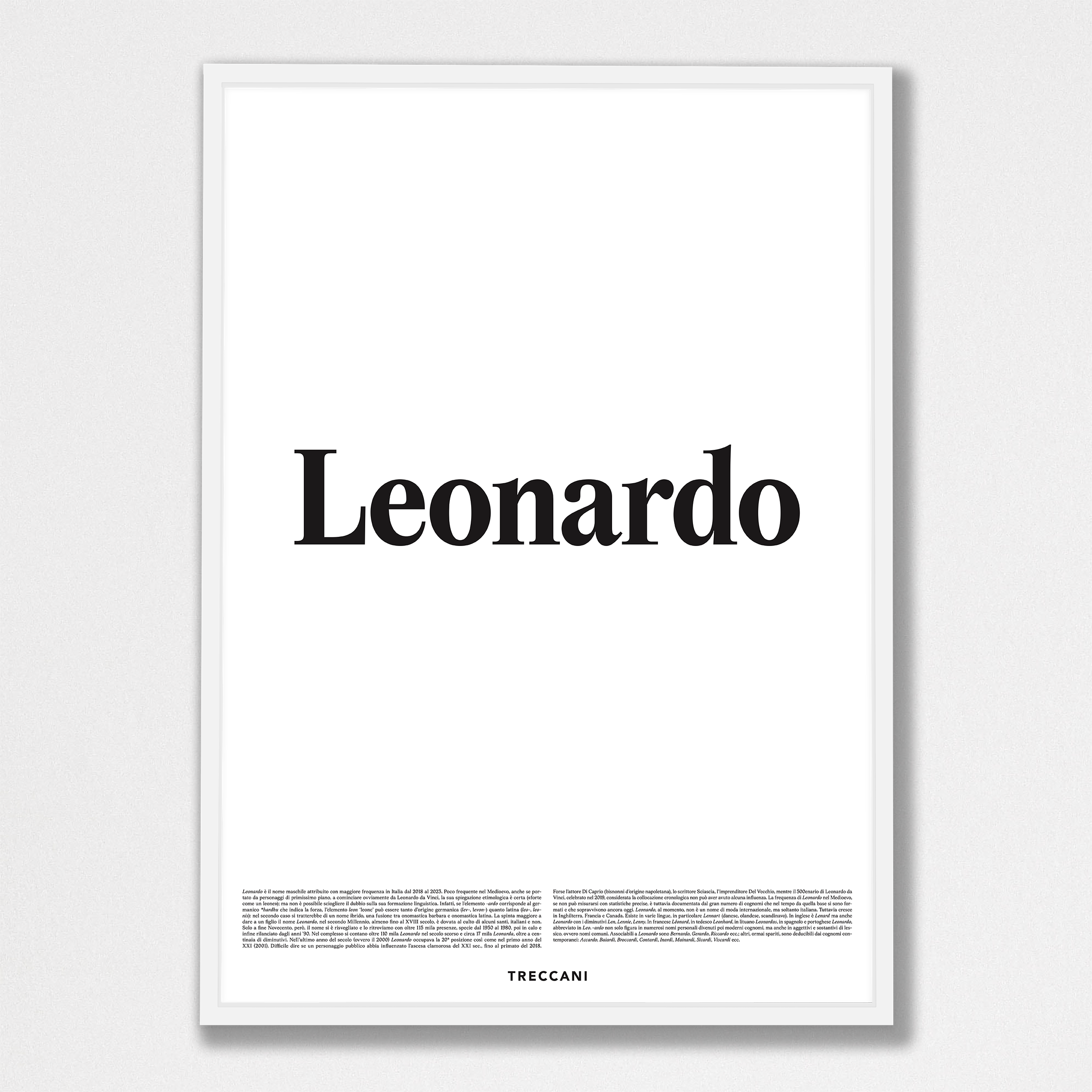 Leonardo 50x70 bianco Poster - Leonardo - immagine 1