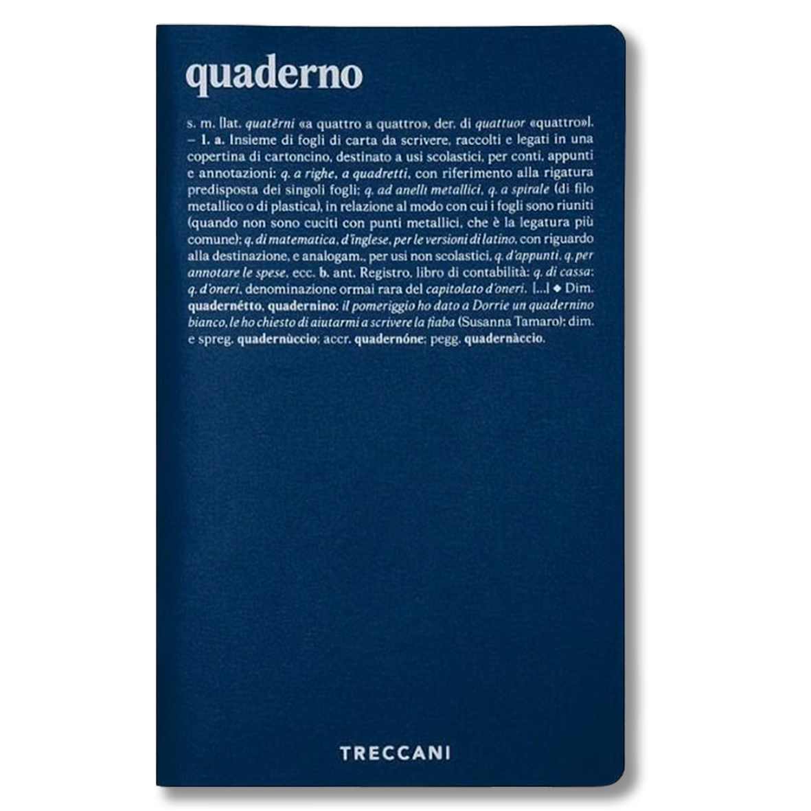 Blu Quaderno a righe - blu/bianco - immagine 1