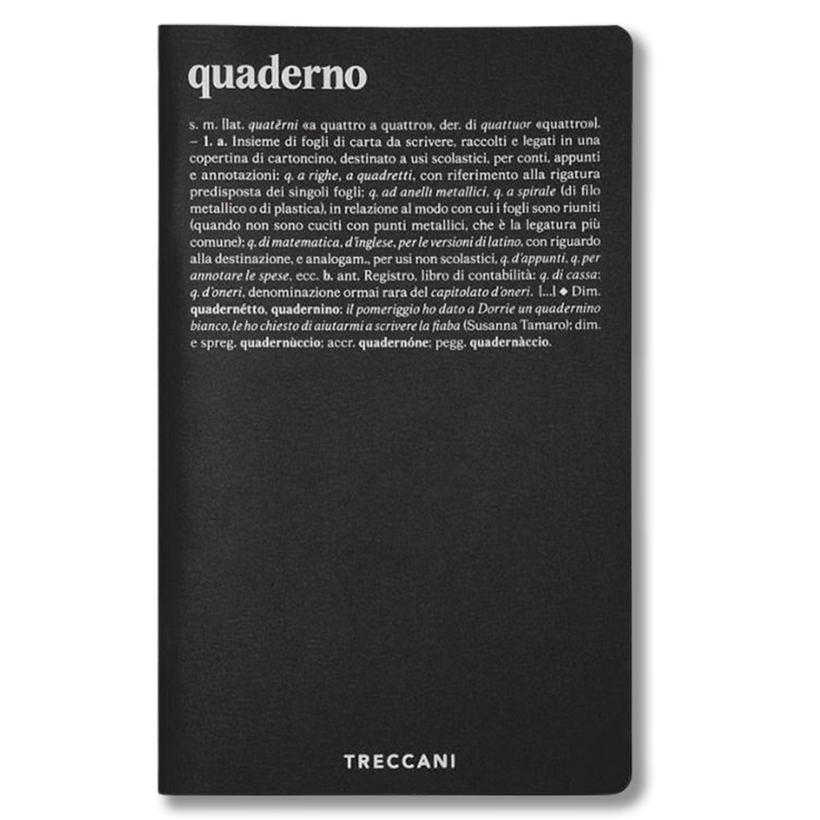 Nero Quaderno a righe - nero/bianco - immagine 1